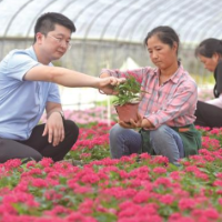 80后硕士的致富“花”招