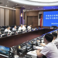 吴桂英参加所在党支部党纪学习教育主题党日活动