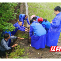 防汛抢险，宁乡环保志愿者闻“汛”而动