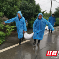 望城：同舟共济，防汛一线闪耀“志愿红”