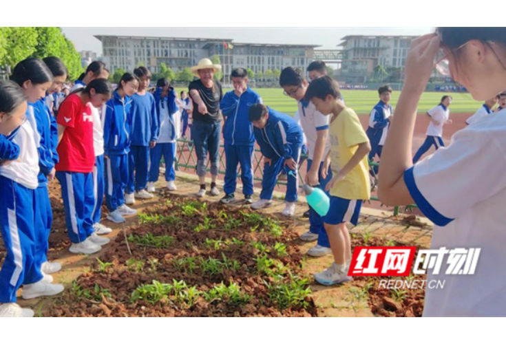 辣椒黄瓜都丰收啦 劳动之光点亮美好青春