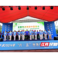 全面推进美丽中国建设，贡献志愿服务磅礴力量