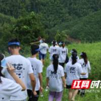 科技兴农，青春聚力正当时