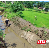 全力保灌护水，扛牢粮食安全
