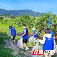 不畏酷暑，保护美丽家园