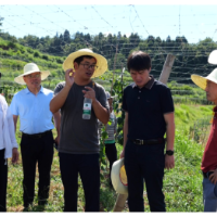 长沙县：科技帮扶助力 技术指导连心