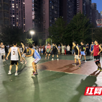 党建引领聚合力，迎“篮”而上增动力