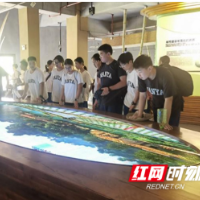 一堂湿地公园里的“生态课”