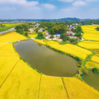 长沙县：颁发土地“身份证” 唤醒农村“沉睡”资产