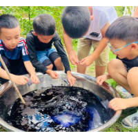 行走皆“课堂” 黄花研学风潮劲