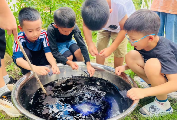 行走皆“课堂” 黄花研学风潮劲