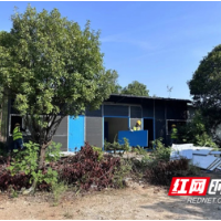 重拳出击！雨花区联动发力拆违建
