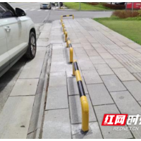 望城：持续擦亮城市名片，不断提升市容“颜值”