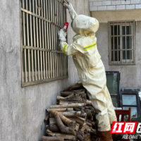 马蜂窝“驻扎”村民家，消防紧急处置