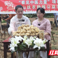 雨花龙山一家亲，首场扶农助残公益行落地