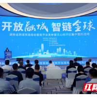 湖南跨境贸易综合服务平台上线 天心经开区以“政策+项目”双轮驱动产业升级