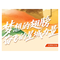 海报 | 梦想的翅膀 奋飞的星城力量