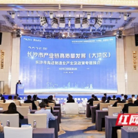 让先进制造业“枝繁叶茂” 长沙联动大湾区诚意邀约