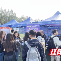 AI赛道火热“抢人” 助力湖南打造AI产业高地