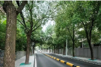 雨花区18条街巷“微改造”，撬动民生“大幸福”