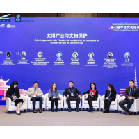 守护文明瑰宝 中法文博专家长沙面对面