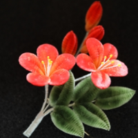 π动天心・青创未来③｜欧阳亮：当非遗邂逅青春创业