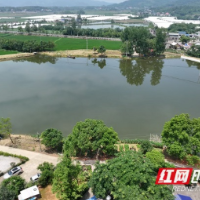 长沙：护农业命脉 蓄乡村“活水”