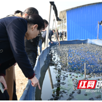 当餐饮人不再只关心做法：在蛙塘边，重建关于信任的配方