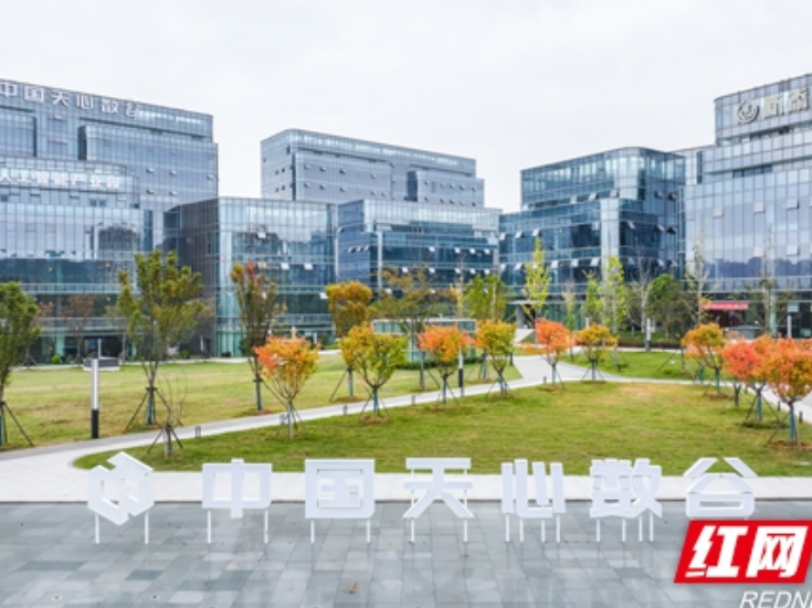 向南发力！天心招商凭实干“圈粉”，企业扎堆来