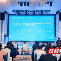 夯实基础材料产业底座 助力长沙制造业腾飞