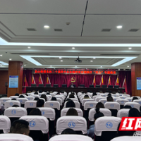 以“四力”铸魂,让头雁高飞