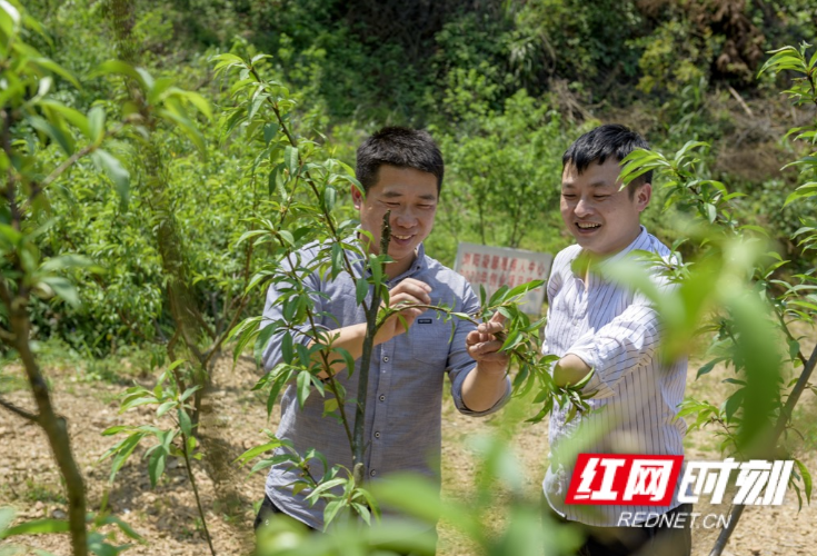 星城追光 创“逆”人生 | 无手绘宏图 林名长的逆袭人生 