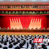 项目！产业！雨花第一会点燃高质量发展“双引擎”