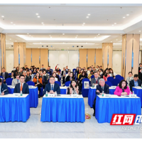 湘港人才教育交流论坛启幕 共谋合作创新路径