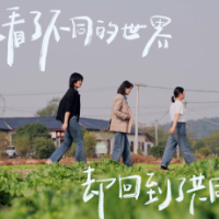 走，下乡当“高管”！