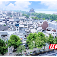 千年老街“年轻力”④ | 书香民宿里的文化新叙事