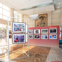 组图｜光影中的劳动之美！“百年工运、雨花影像”摄影展开幕