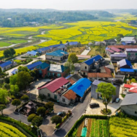 宁乡基层治理“最后一米”成“最美一米”