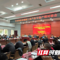 盯着产线牵“姻缘” 宁乡精准助力企业产销对接