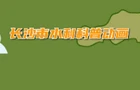 科普：防洪体系篇