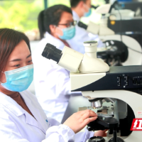 长沙“研”值⑧ | 一座“共享实验室”的“轻”功之道