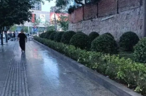 雨花区的这处300平方米荒地，变身街角小花园