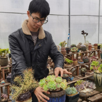 梦想的翅膀③ | 从阳台到30亩 95后“多肉教主”的泥土逆袭