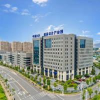 雨花种“雨林”