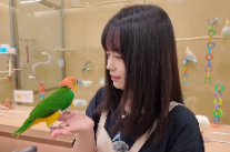 雨花创客记｜为爱生羽翼，海归女孩筑起“小鸟理想国”