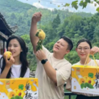 望城：党建红赋能数字蓝 助洗车河黄桃打通“出山通道”