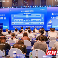 AI助力营商环境优化：长沙的数字化探索与实践