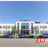 湖南新能源产业链：从技术破局到全球竞合的进阶之路
