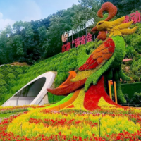 海报 | 花样星城 献礼双节