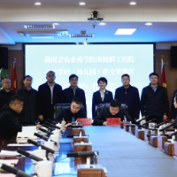 “大院”+“大城”,1+1>2的共生